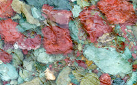 Glacier National Park_03521_