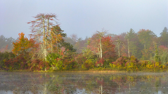 Middle Reservoir Misty Morning