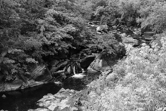 Putnam River Trail 3