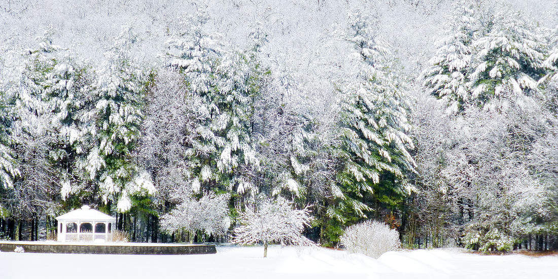 Snowy April Day Color