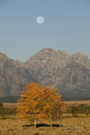 Grand Tetons