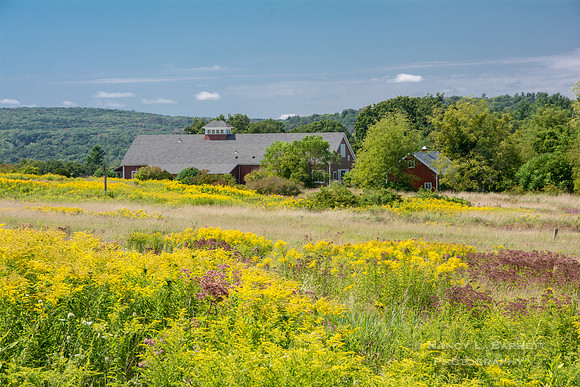 Bafflin Sanctuary Center at Pomfret 35
