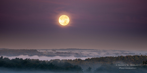 Harvest Moon II Composite