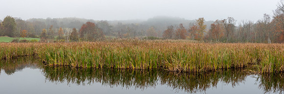 Fall 102020-15-Pano-Edit