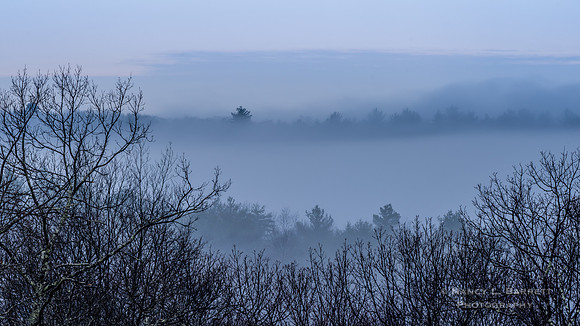 Foggy Blue