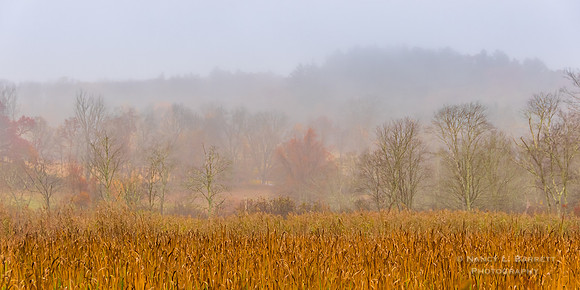 Fall Morning at Day Brook
